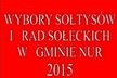Wybory sołtysów i rad sołeckich